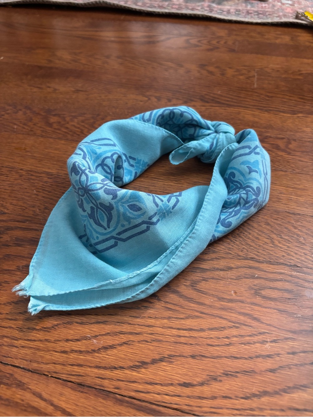 Vintage Western Blue Bandana 20x20 Cowboy Ranch Coastal Cowgirl Rodeo Scarf